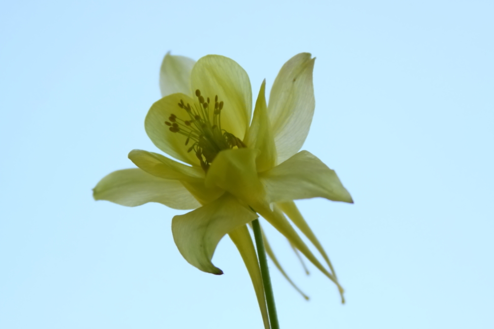 2012 05 20 3659